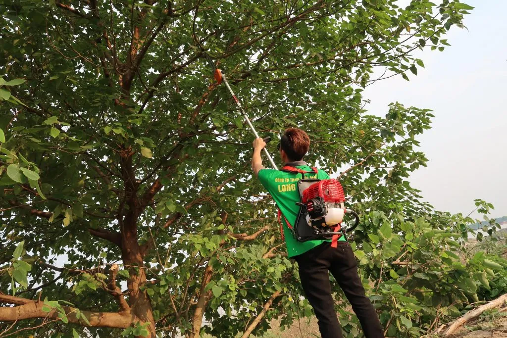 Máy làm cỏ cà phê được lắp đầu bơm nước để tưới tiêu
