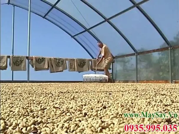 Mô hình nhà kính loại kín, cần hệ thống thông thoáng để thoát hơi nước