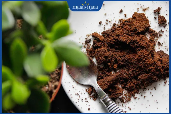 Mô tả hình ảnh bã cà phê được đặt trong bát nhỏ, thể hiện kết cấu để tẩy tế bào chết vật lý