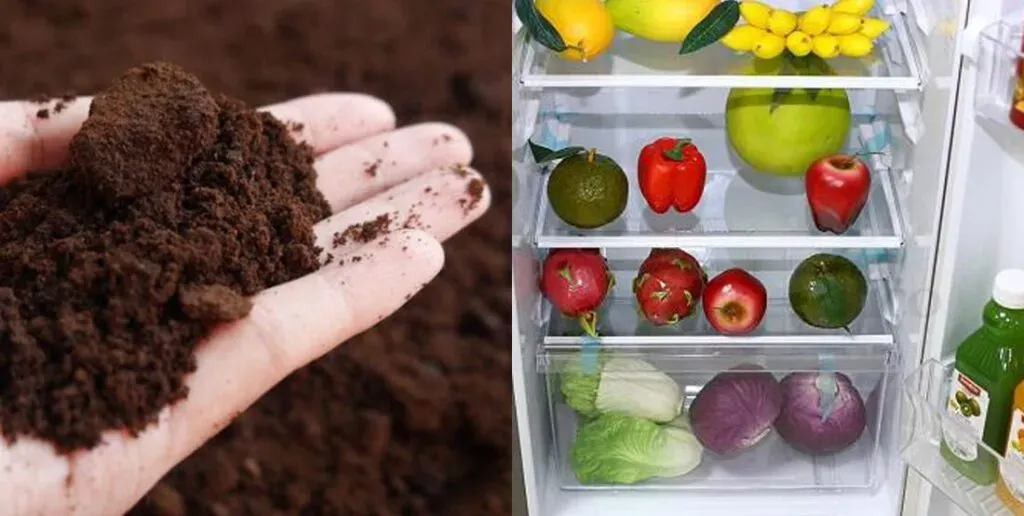 Một bát nhỏ đựng bã cà phê khô được đặt bên trong tủ lạnh để khử mùi hôi