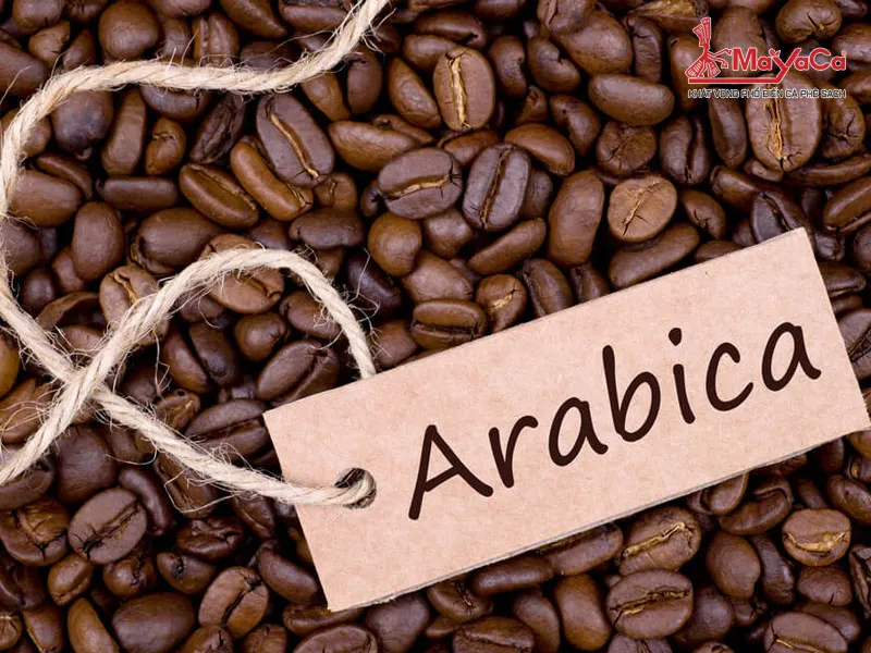 Những hạt cà phê Arabica Cầu Đất đang được phơi khô để chế biến