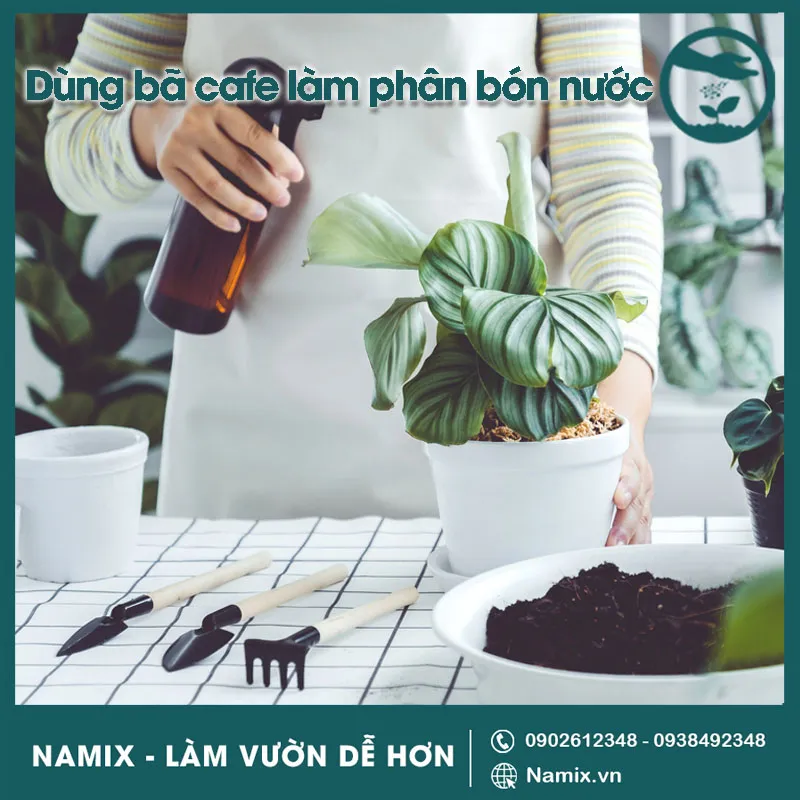 Pha chế phân bón lỏng từ bã cà phê và nước, ủ trong bình kín
