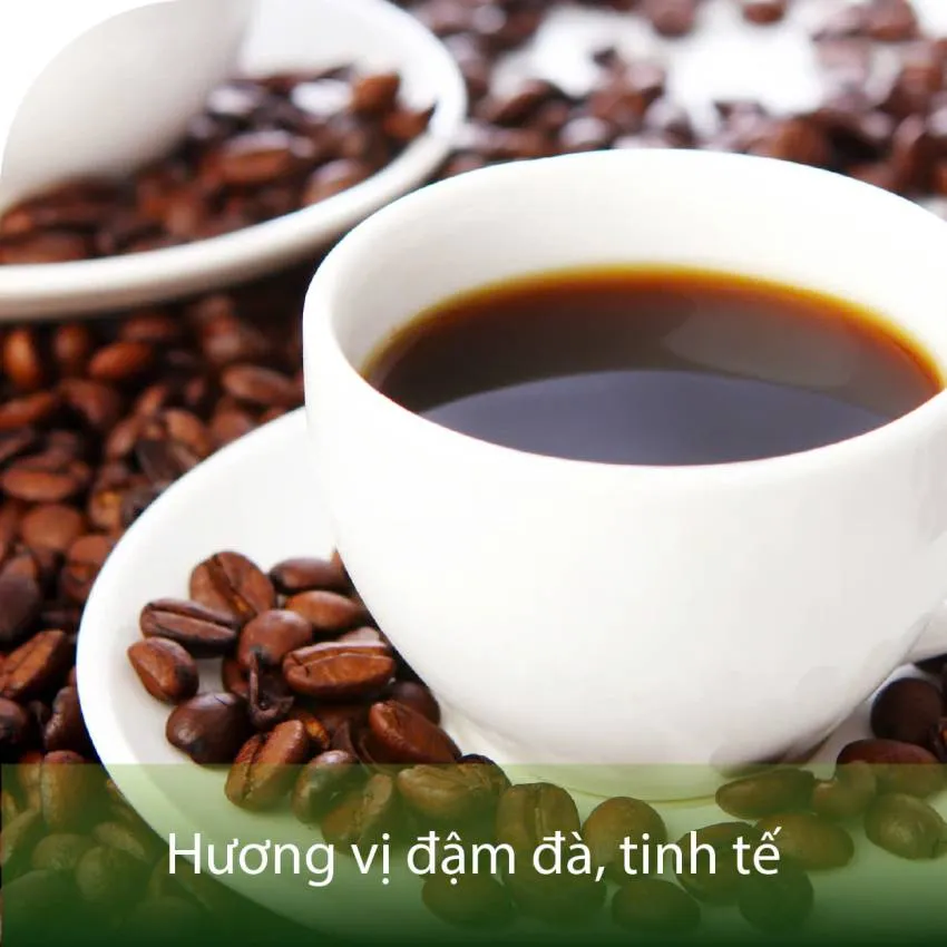 Phân biệt đặc điểm và hồ sơ hương vị của từng cấp độ rang cà phê