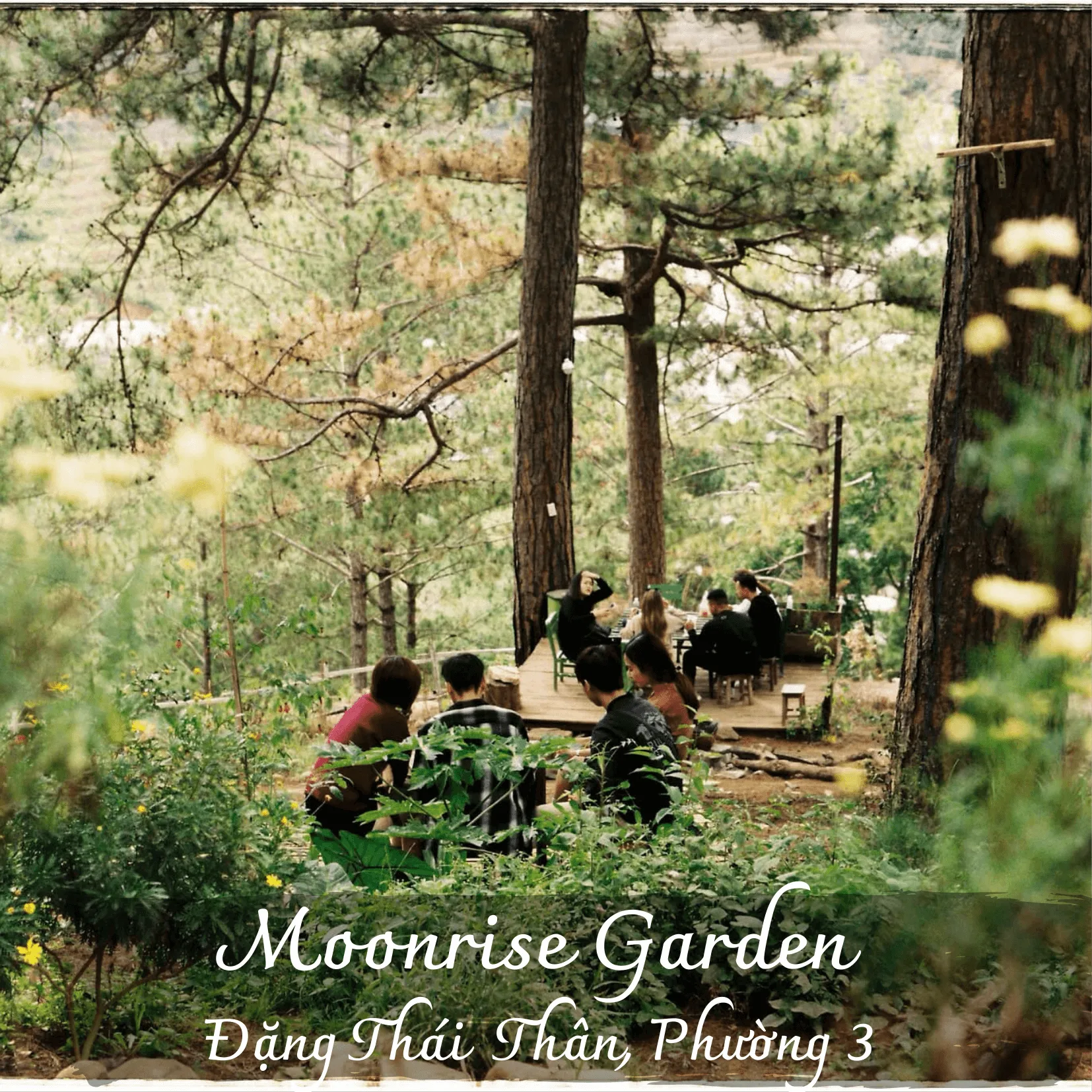 Quán cà phê vintage Moonrise Garden Dalat với kiến trúc gỗ cũ kỹ và view đồi thông