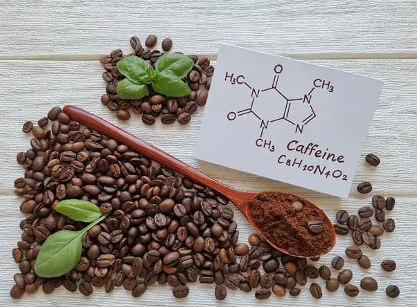 Quan sát màu sắc đồng đều của hạt cà phê nguyên chất để xác định chất lượng