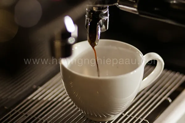 Quy trình chiết xuất Espresso trong cách pha cà phê ý, tạo lớp crema hoàn hảo