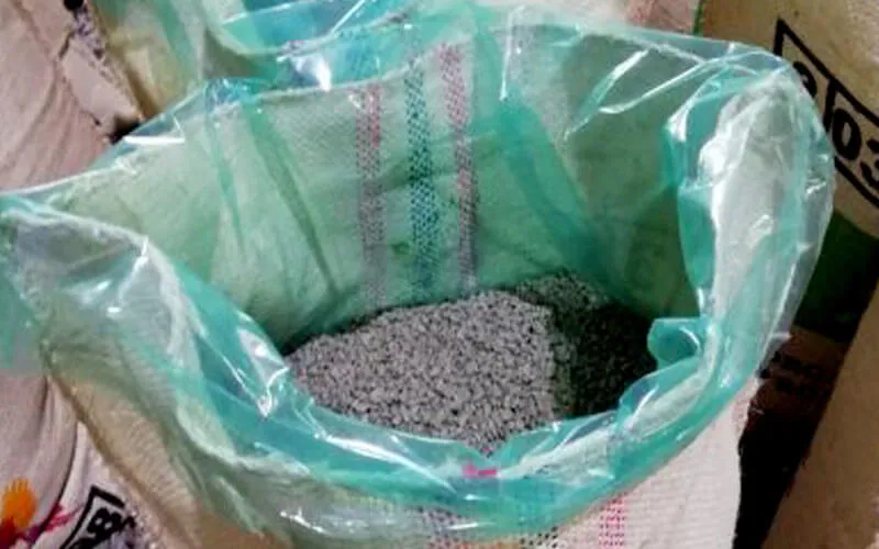 Quy trình đóng gói cà phê nhân xanh với công nghệ bảo quản tiên tiến