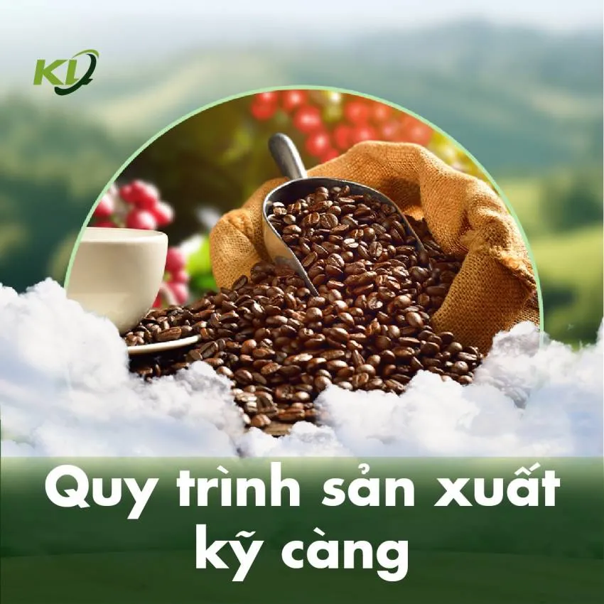 Quy trình kỹ thuật rang cà phê chuyên nghiệp với máy móc hiện đại