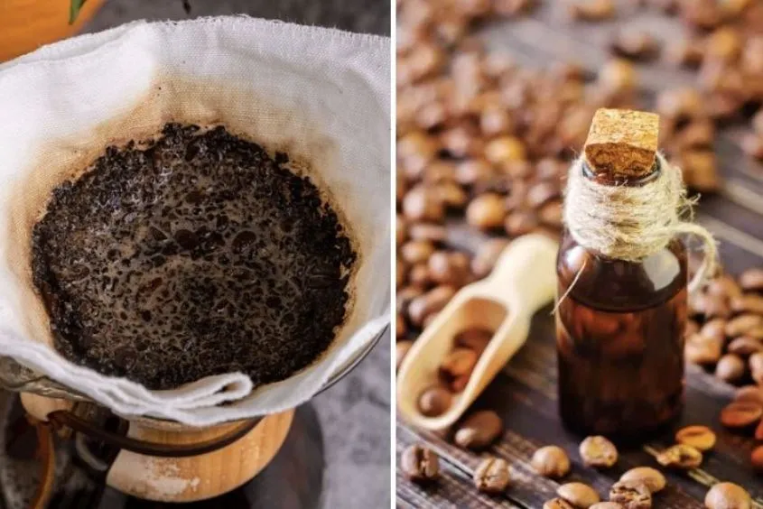 Quy trình làm tinh dầu cà phê bằng phương pháp chiết xuất nóng