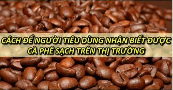 Quy trình pha cà phê bằng máy chuyên nghiệp, thể hiện lớp crema mịn