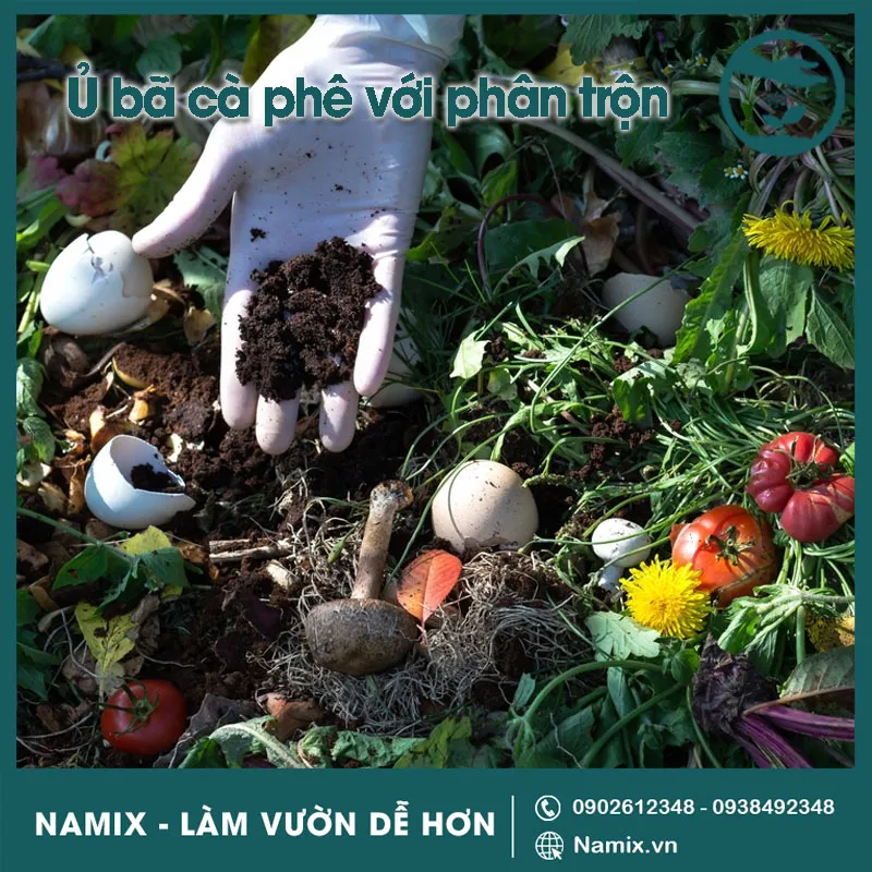 Quy trình ủ bã cà phê trồng cây với phân trộn hữu cơ tại nhà