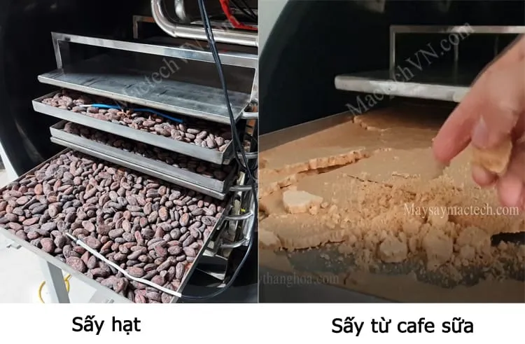 So sánh cấu trúc hạt cà phê được sấy thăng hoa so với hạt cà phê được sấy bằng phương pháp nhiệt truyền thống