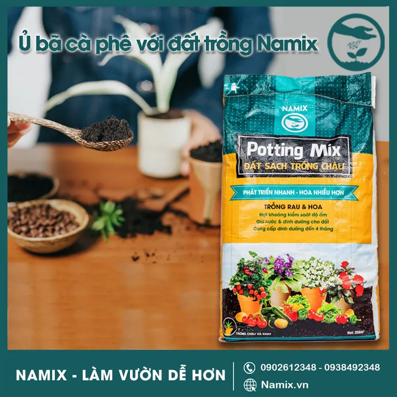 Sử dụng bã cà phê kết hợp với đất trồng có sẵn chế phẩm sinh học Namix