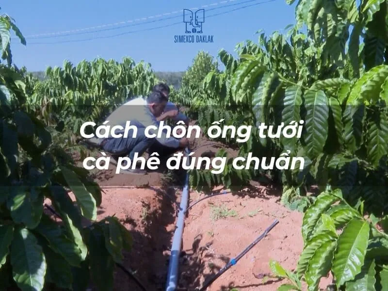 Sử dụng ống nhựa chịu lực tốt và thiết bị điều chỉnh áp suất