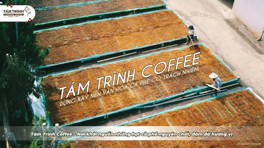 Tám Trình Coffee là nơi cung cấp hạt cà phê nguyên chất, đảm bảo hương vị đậm đà