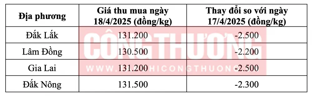 Tham khảo giá cà phê hôm nay ngày 18/4/2025 tại khu vực Tây Nguyên