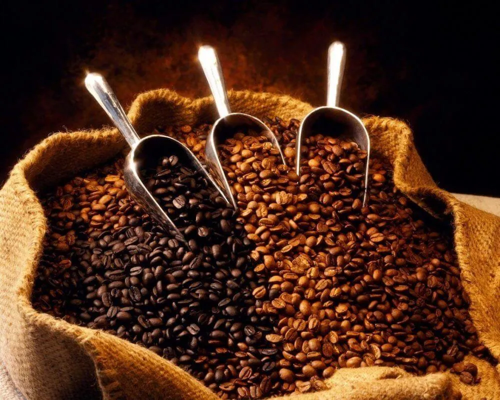 Tỉ lệ trộn cà phê chuẩn Arabica và Robusta