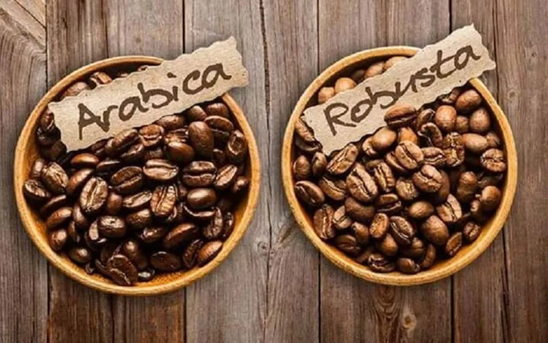 Tìm ra tỷ lệ vàng trong pha trộn cafe sẽ góp phần tạo nên hương vị thơm ngon