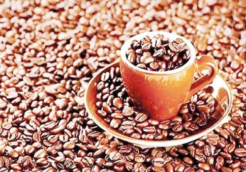 Toàn cảnh dự án đầu tư nhà máy sản xuất cà phê hòa tan Tín Nghĩa được đặt tại khu công nghiệp Đồng Nai
