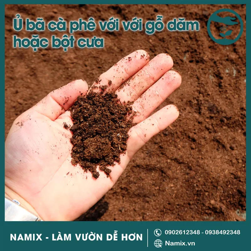 Ủ bã cà phê cùng dăm gỗ hoặc mùn cưa để tạo lớp mùn giữ ẩm hiệu quả