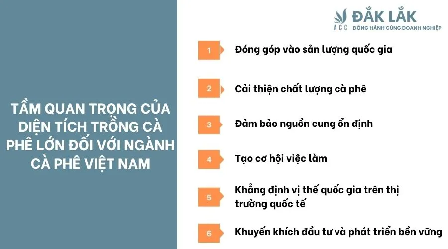 Vai trò của diện tích trồng cà phê lớn đối với việc phát triển chuỗi cung ứng