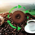 Cách Xử Lý Bã Cà Phê Để Trồng Cây: Hướng Dẫn Biến Phế Phẩm Thành Dinh Dưỡng Vàng