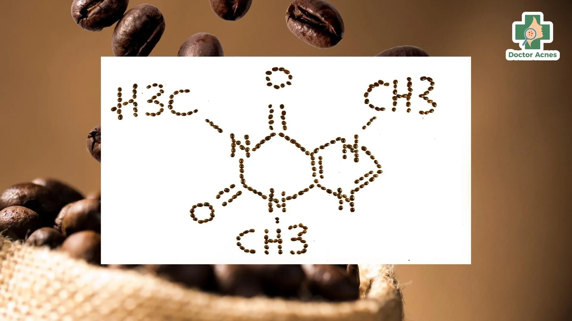Cấu trúc hóa học của Caffeine, một yếu tố ảnh hưởng đến câu hỏi uống cà phê sữa mỗi ngày có mập không