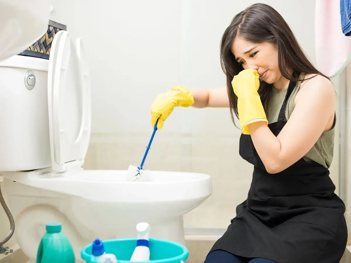 Khay phơi bã cà phê ngoài trời dưới ánh nắng tự nhiên
