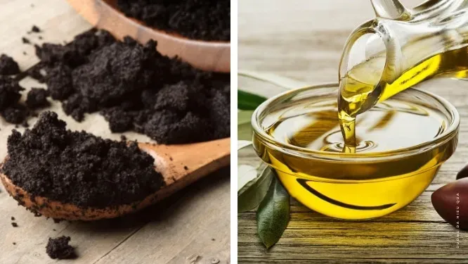 Tắm trắng bã cà phê với dầu oliu
