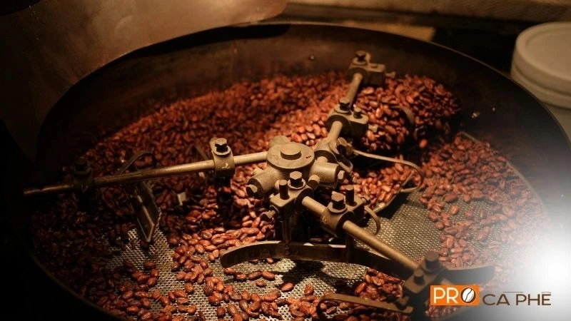 Cà phê Robusta rang theo đợt nhỏ, đóng gói ngay sau rang để giữ độ tươi