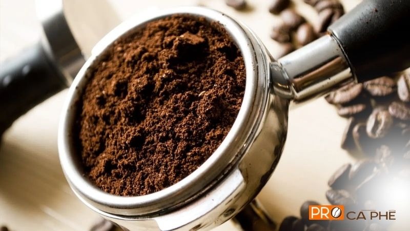Robusta Buôn Ma Thuột (Cao Nguyên Đắk Lắk)
