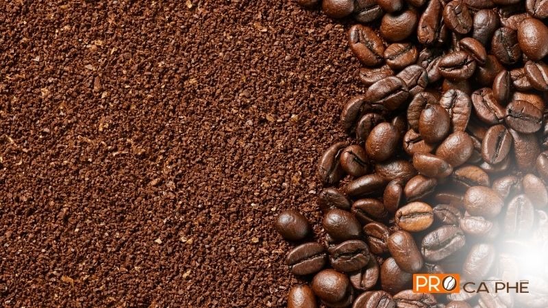 Robusta Tây Nguyên (Đắk Nông, Lâm Đồng)