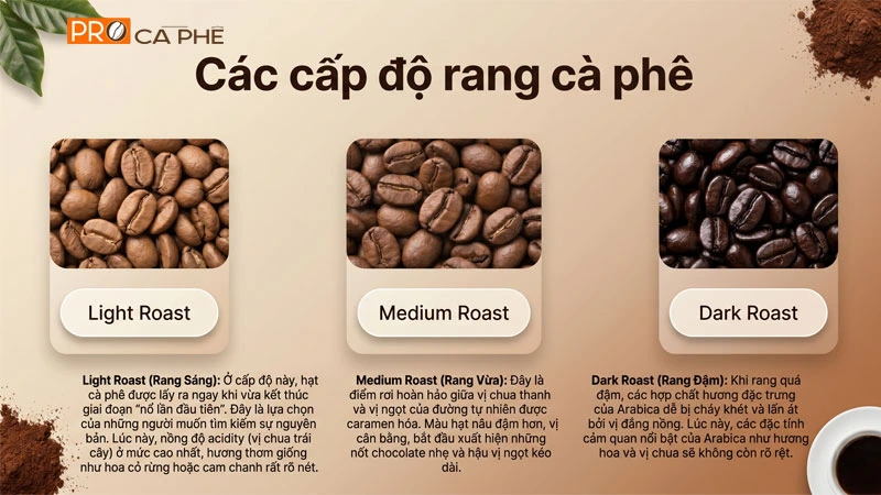 Mỗi cấp độ rang mang đến một câu chuyện hương vị riêng biệt