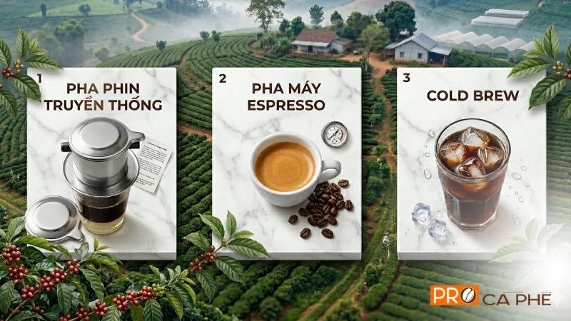 Chọn Robusta rang xay theo phương pháp pha
