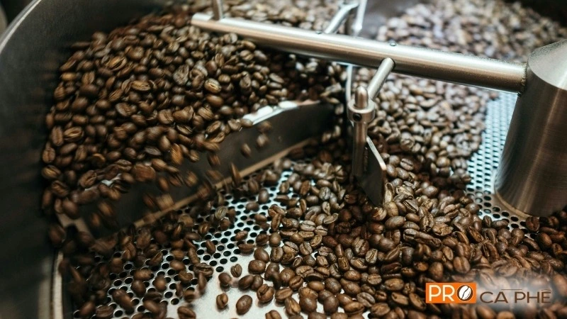Arabica Cầu Đất yêu cầu sự khắt khe trong từng công đoạn từ canh tác đến rang xay