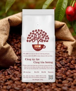 Hạt Cà Phê Arabica Sơn La