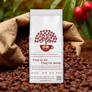 Hạt Cà Phê Arabica Sơn La