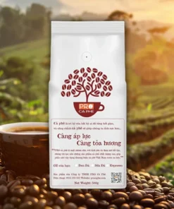 Hạt Cà Phê Robusta BMT