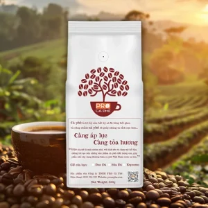 Hạt Cà Phê Robusta BMT