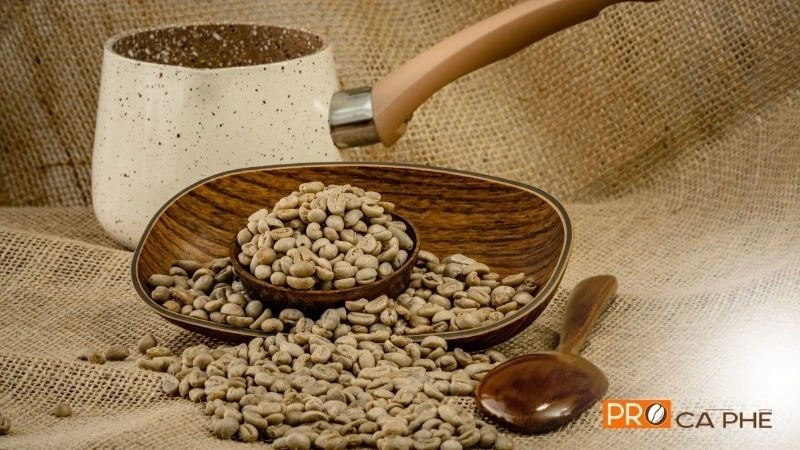 Hạt cà phê xanh (Cà phê nhân) là những hạt đã qua sơ chế, làm khô nhưng chưa hề trải qua quá trình rang nhiệt.