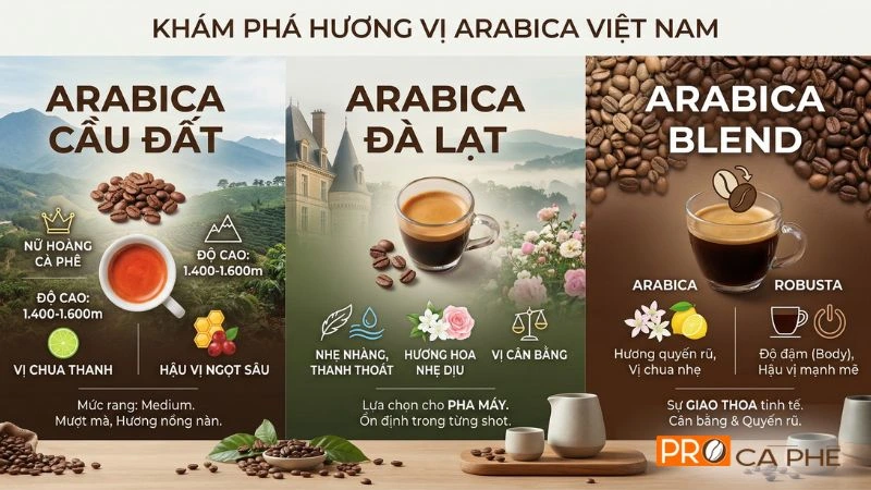 PRO Cà Phê cung cấp nhiều lựa chọn Arabica cho mọi gu thưởng thức