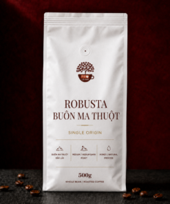 Hạt Cà Phê Robusta Buôn Ma Thuột