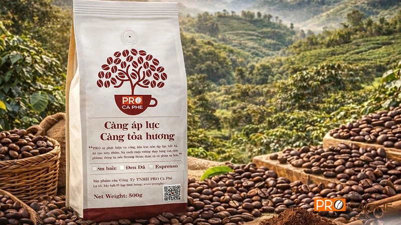 Cà phê tại ProCaPhe luôn minh bạch nguồn gốc và các thông số kỹ thuật 